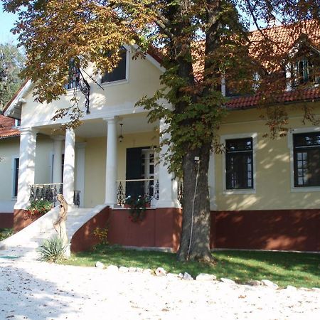 Gesztenyes Panzio Bed & Breakfast Szada Exterior foto